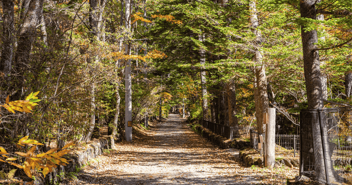 Karuizawa automn cycling